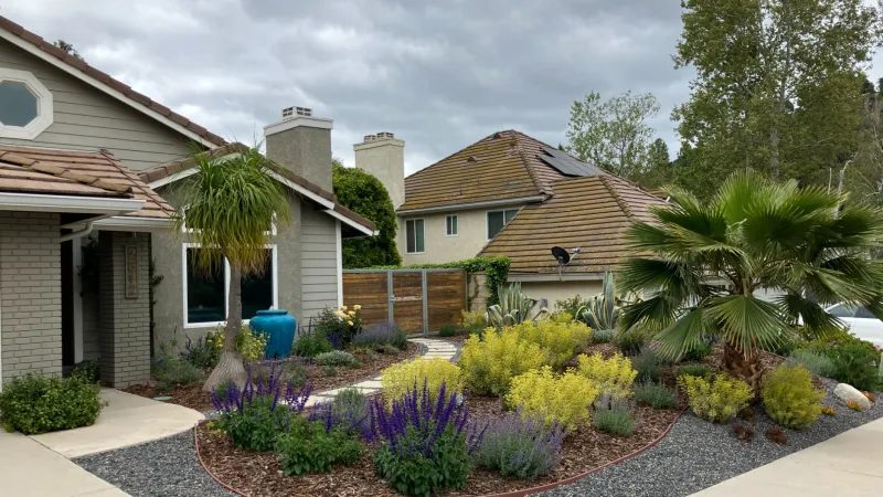 Modern suburban house with desert landscaping featuring palm trees, colorful shrubs, and stone mulch.