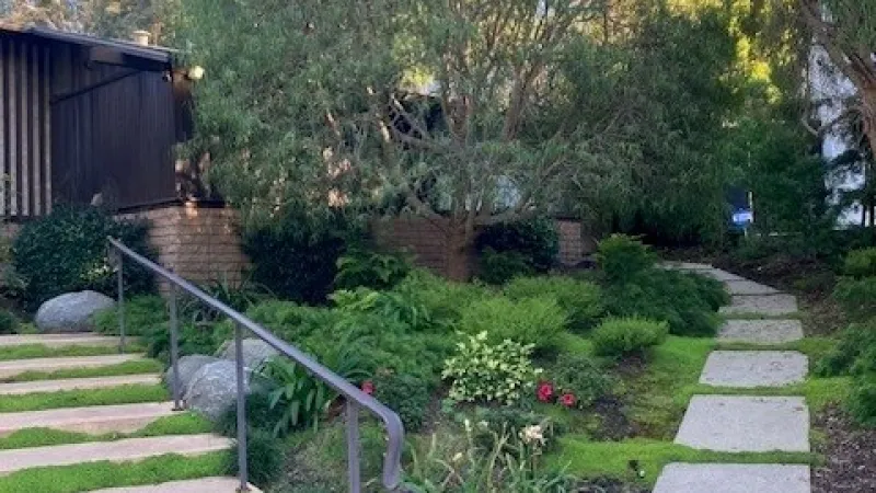 Ground cover softens the concrete steps leading to the home in this design