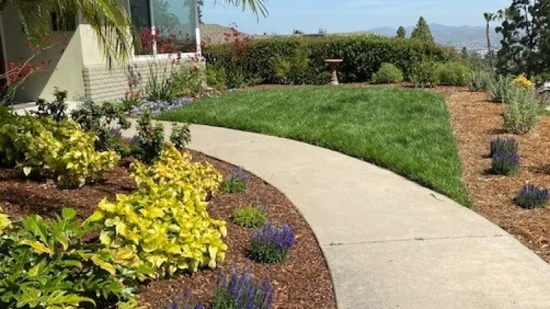 Contrasting colors accent this curved entry walkway. 