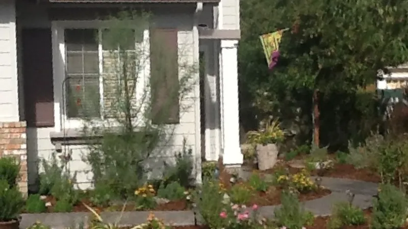 An inviting curved walkway draws the eye through the landscape 