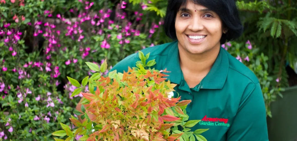 Armstrong Associate holding a shrub