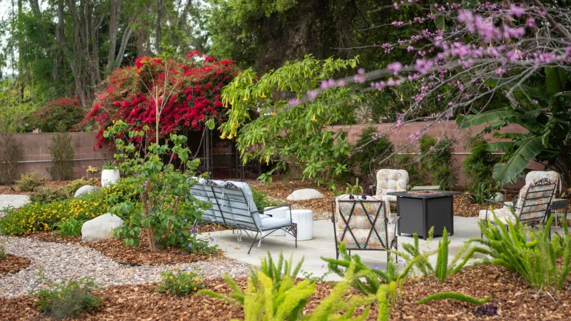 Serene outdoor garden space with seating, plants, and decorative stones for relaxation.