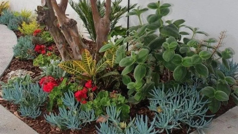 Lovely shaded corner