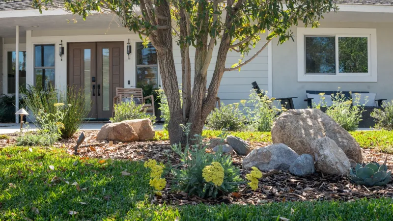 A modern home with lush landscaping featuring rocks, plants, and a tree in the front yard.