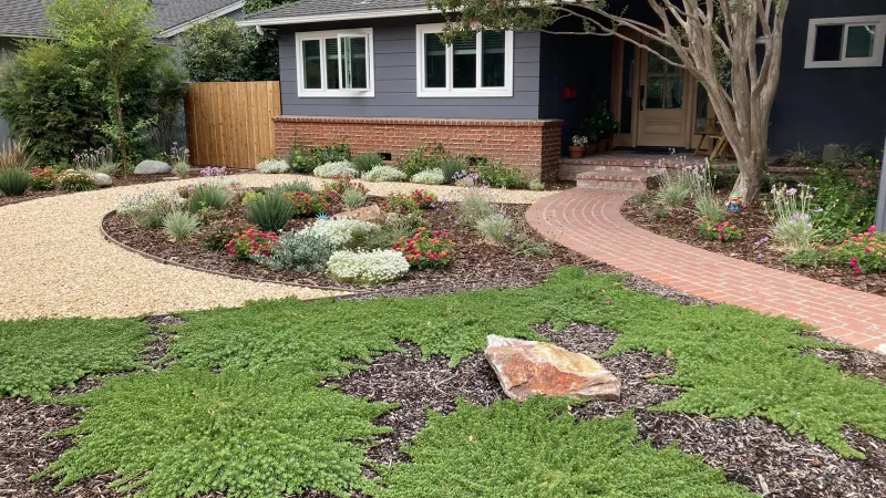 Drought tolerant landscaping featuring myoporum ground cover