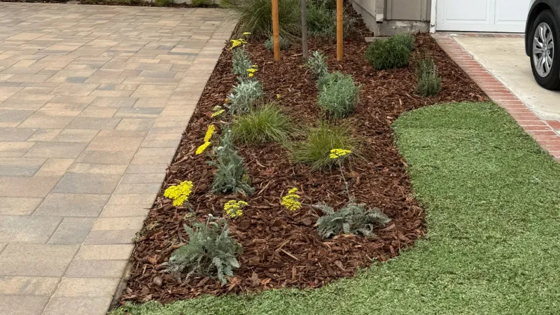 Kurapia makes a practical and drought tolerant addition next to a driveway