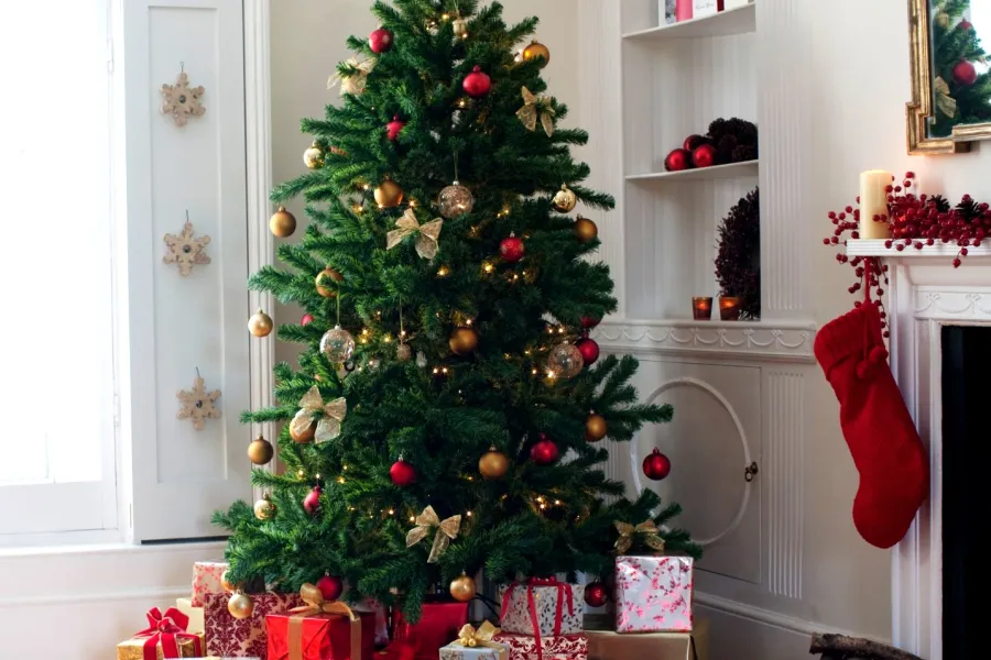 a christmas tree in a living room