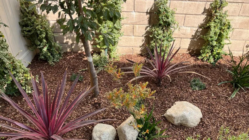 Additional portfolio pictures coming soon!