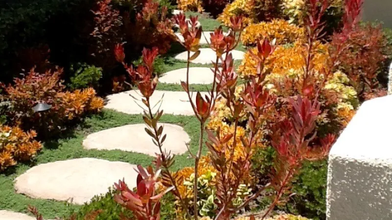Meandering pathway surrounded by orange and golden brown hues