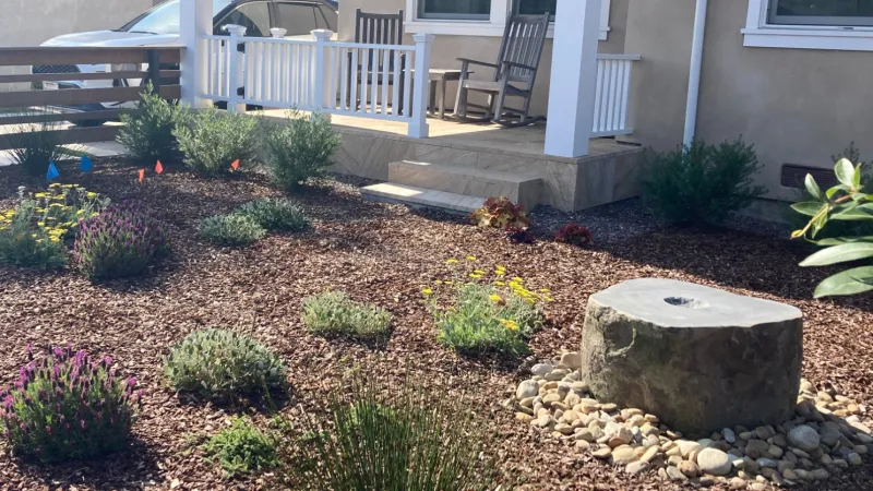 A drought tolerant lawn alternative with a self-contained water feature 