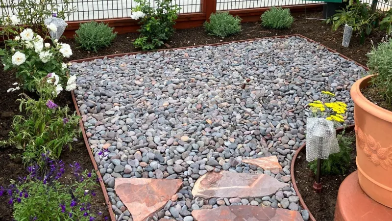 A beautiful streetside flagstone walkway and terra cotta pots with a splash of color featuring iceberg roses, blue salvia and yarrow