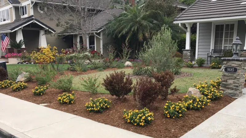 Lawn replacement design project.