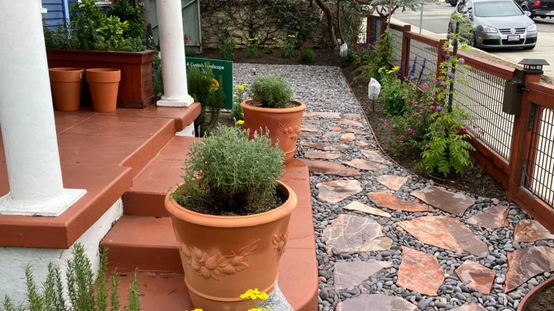 A beautiful streetside flagstone walkway and terra cotta pots with a splash of color. 