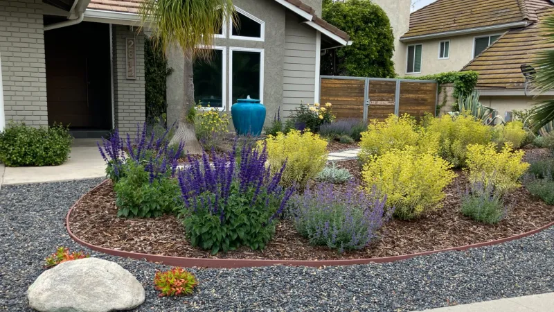 Modern front yard with ornamental shrubs, purple and yellow flowers, gravel bed, concrete walkway, and house facade.