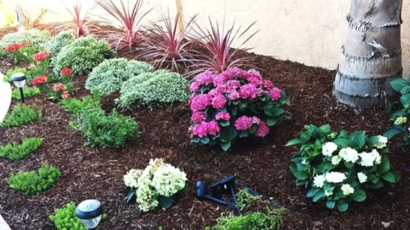 A colorful lawn border of whites and pinks