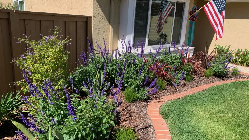 Front landscape makeover.