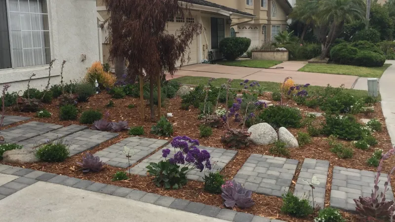 The front lawn was replaced by a drought tolerant mix of plants surrounding a walkway to the front door