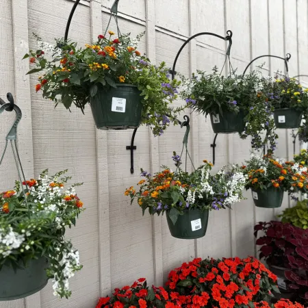 Hanging pots of colorful flowers displayed on metal hooks against a beige wooden wall outdoors.