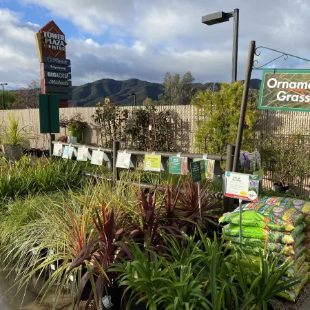 Outdoor garden center display of various ornamental grasses and plants with mountain background under a partly cloudy sky.