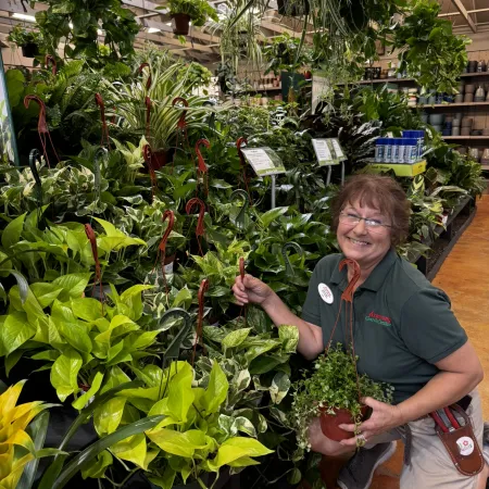 Smiling woman holding a hanging potted plant in a lush indoor garden center surrounded by various green plants and pots.