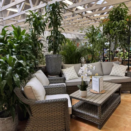 Cozy indoor seating area with wicker furniture, beige cushions, decorative pillows, and lush green plants under a wooden ceiling.