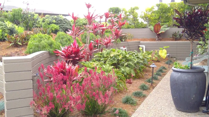 Bright, contemporary colors compliment this inviting Coastal entryway