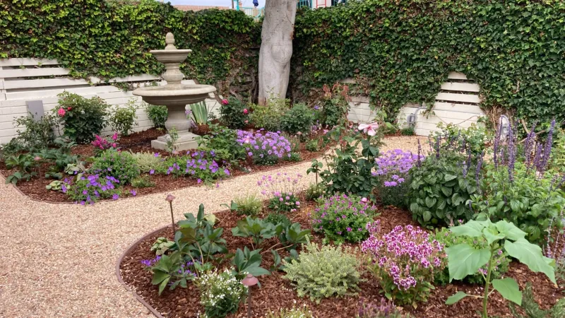 Tranquil garden with flowering plants and shrubs surrounding a stone fountain under a large tree near a vine-covered wall.