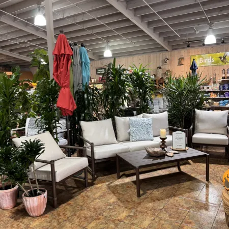 Indoor patio furniture set with beige cushions, potted plants, colorful umbrellas, and wood coffee table in store.