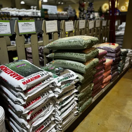 Stacked bags of Marathon fertilizer and Citrus & Fruit Tree Food displayed on wooden shelves in a garden supply store.