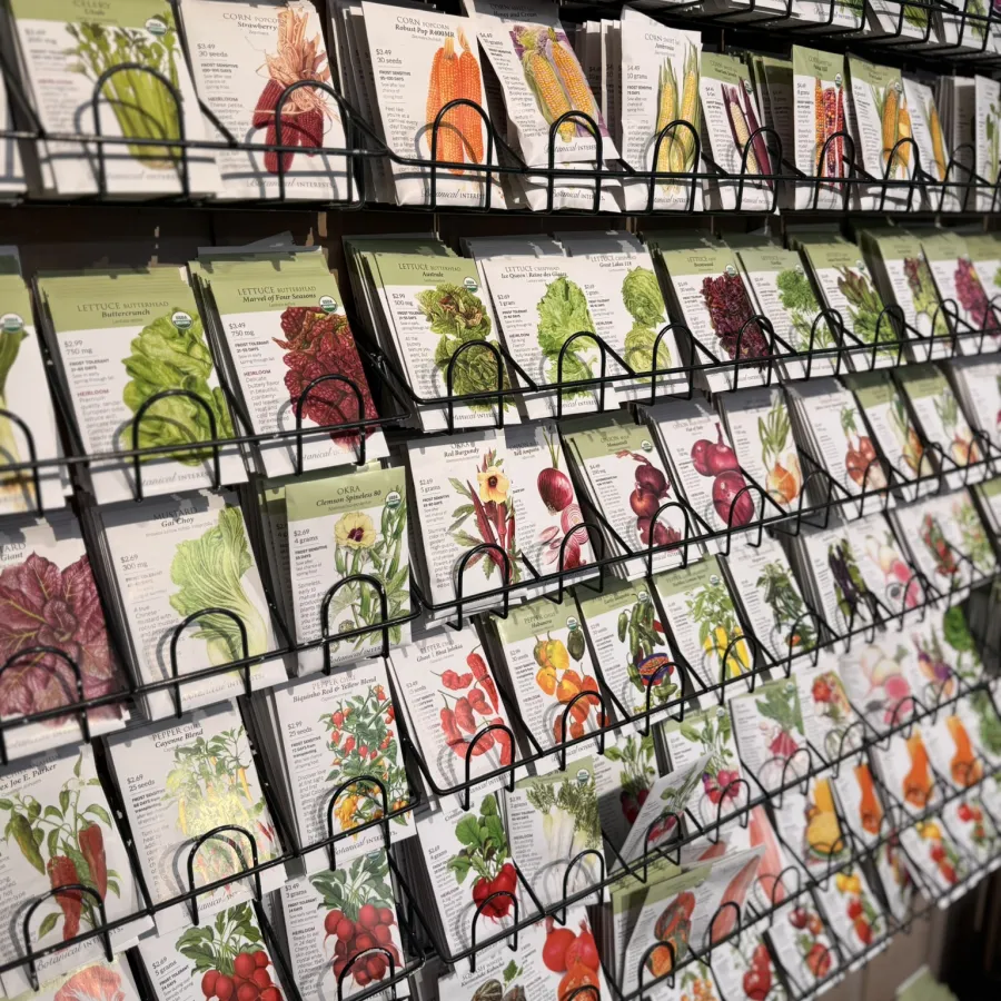 Rows of vegetable and herb seed packets displayed on metal racks in a garden supply store