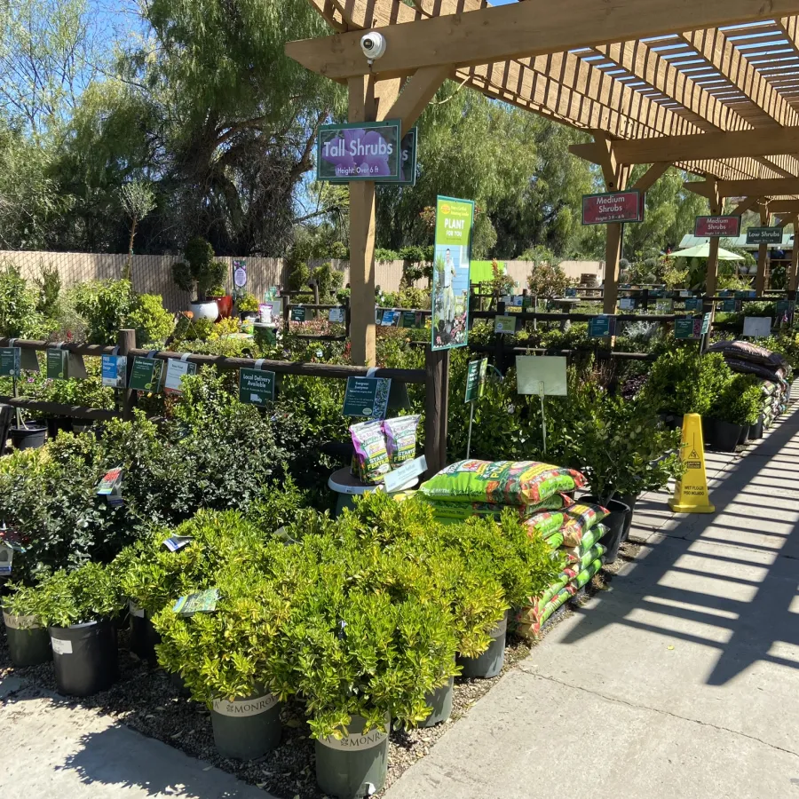 Outdoor garden center with various potted shrubs and plants under wooden shade structures on a sunny day