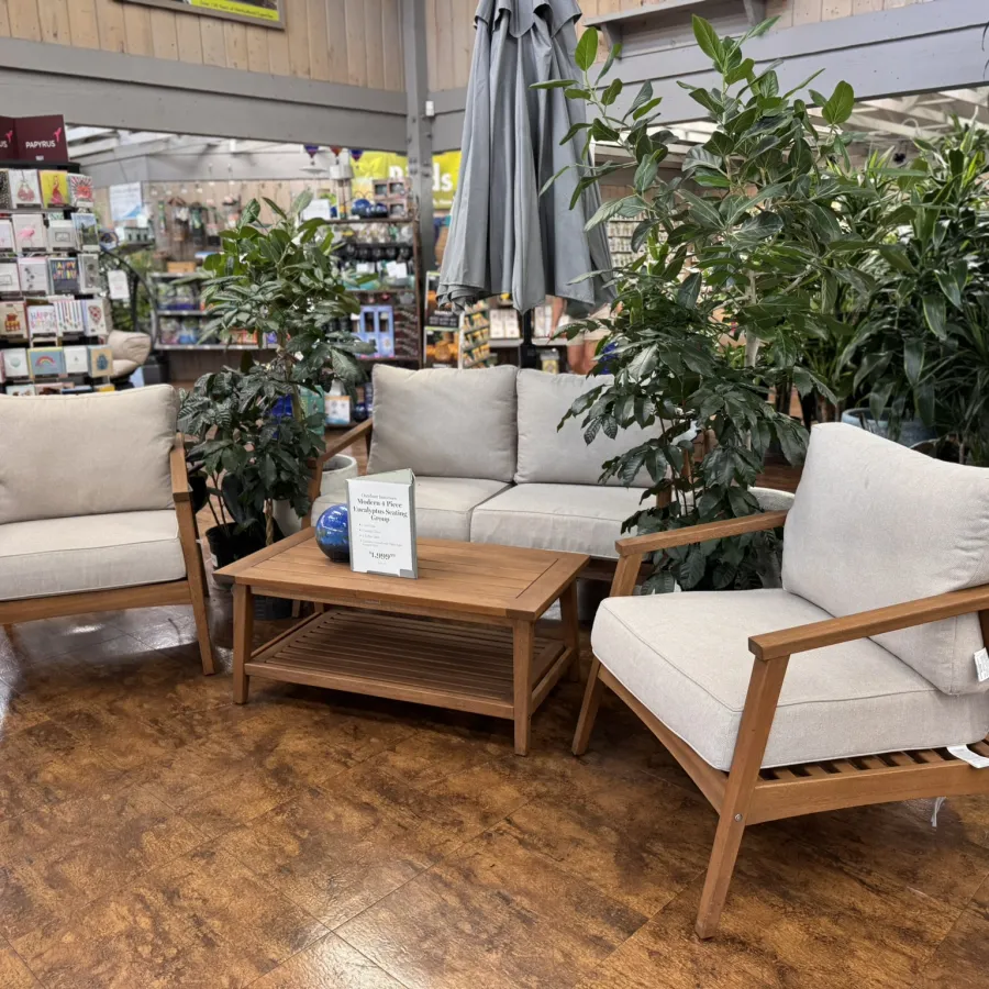 Wooden outdoor furniture set with beige cushions and green plants in a garden store showroom.