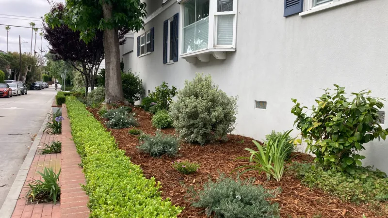This reimagined side yard increases the curb appeal with a tidy boxwood border hedge. 