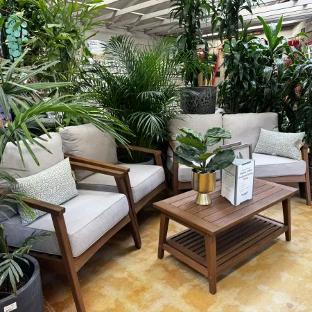 Cozy indoor seating area with beige cushioned wooden chairs, a matching wooden coffee table, and lush green plants
