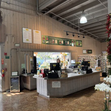 Interior of a garden center store with checkout counters, plants, pumpkins, and holiday decorations with natural light.