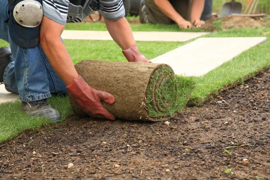 man installing sod to lawn