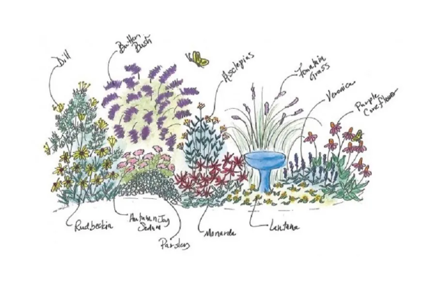 Butterfly garden design for California gardens