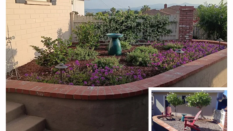 Blooming coleonema surround this bird bath water feature