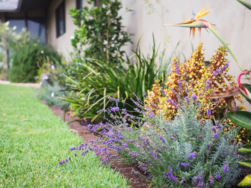 Landscape design Carlsbad
