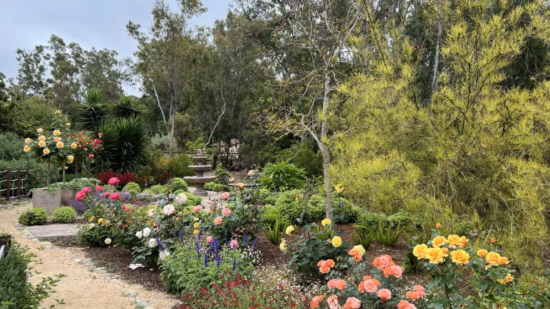 Colorful flower garden with yellow, pink, and orange roses along a curved dirt pathway and greenery.