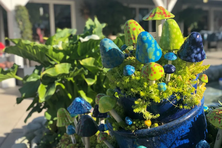 a close up of a flower garden