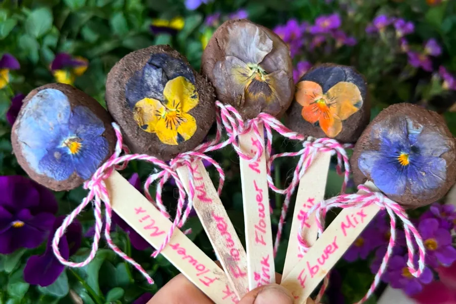 a hand holding a bunch of flowers