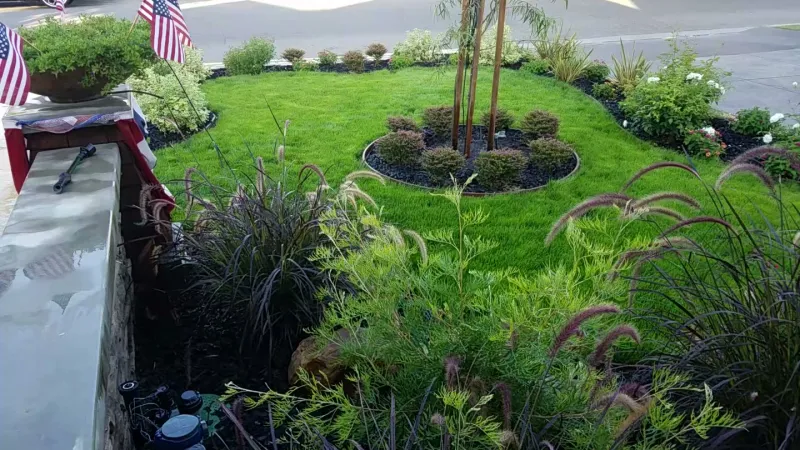 Lush front landscape makeover.