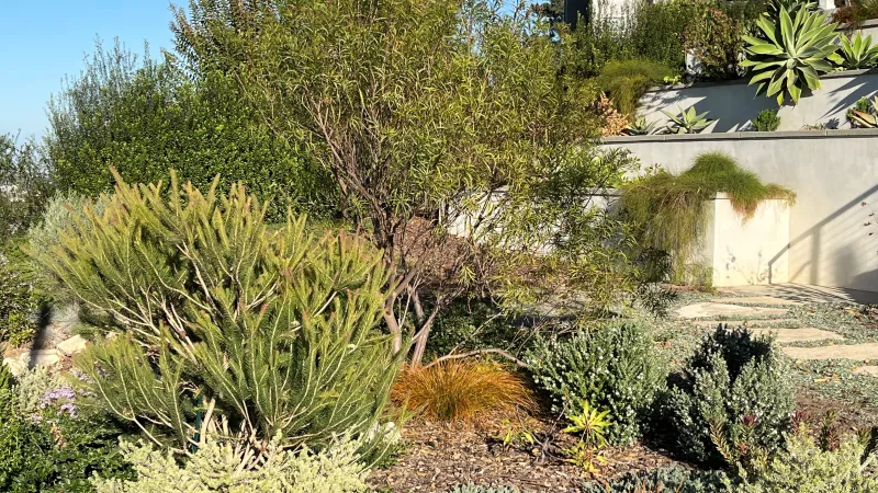 Varied colors and textures soften the white wall and pathway in this beautiful design!