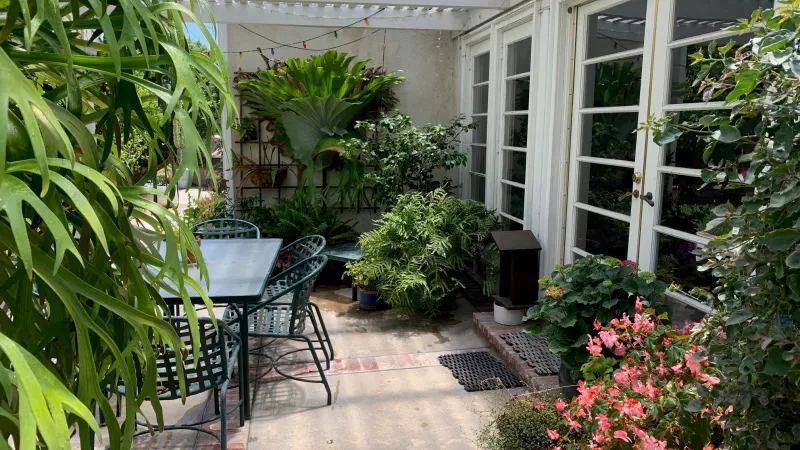 A lush patio renovation using potted plants to create a serene sitting area. 