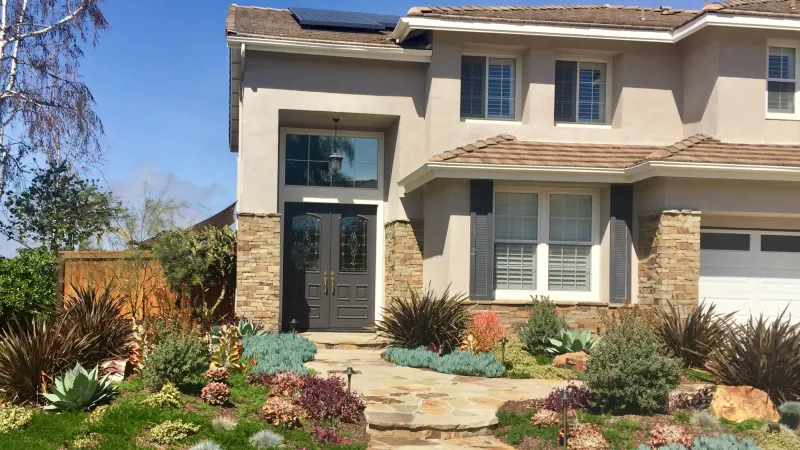 Colorful drought tolerant lawn replacement project