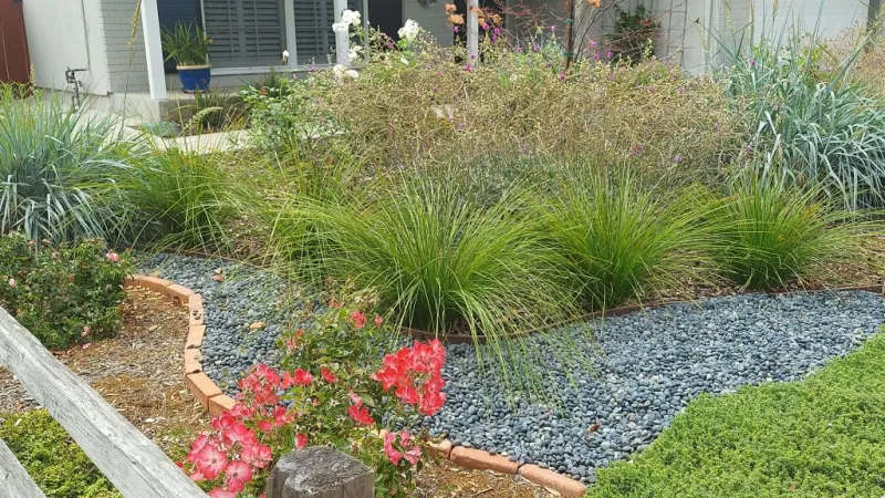 Front yard drought tolerant makeover including lawn removal.