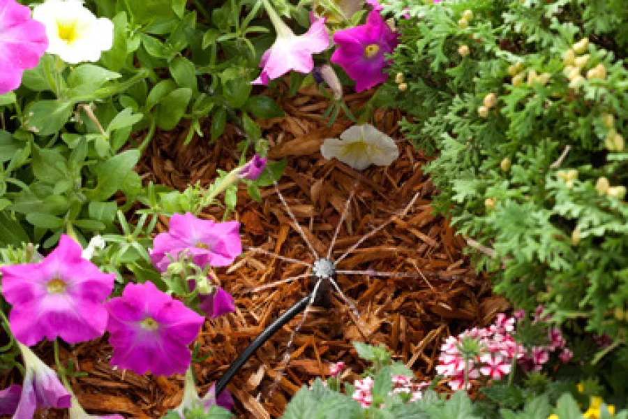drip irrigation bubbler