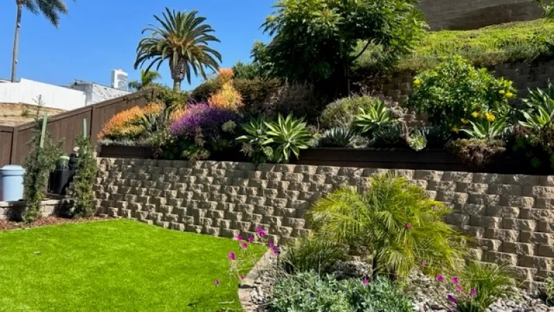Plants on a retaining wall