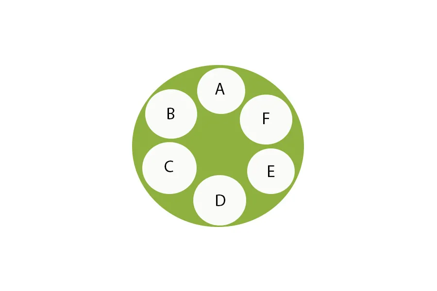 Planting Guide for air purifying houseplant container garden